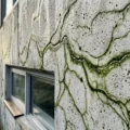 Twój dom „oddycha” szybciej niż Ty? Przełom w materiałach bio-reaktywnych